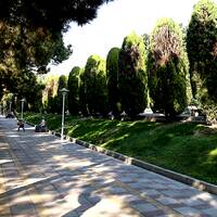 افسون مینیاتور ایرانی و باغ‌ شرقی
